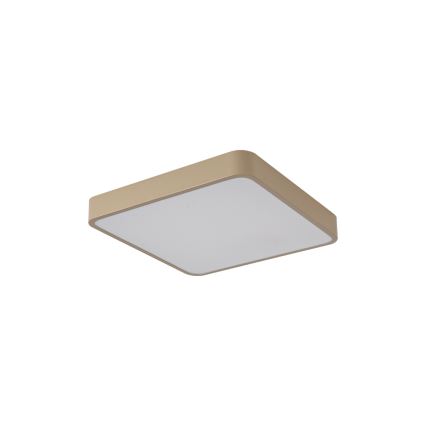 Brilagi - Plafón LED POOL LED/36W/230V 3000/4500/6000K 40x40 cm beige