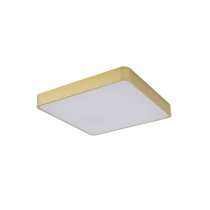 Brilagi - Plafón LED POOL LED/48W/230V 3000/4500/6000K 50x50 cm dorado