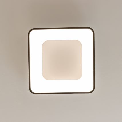 Brilagi - Lámpara de techo LED regulable FALCON II LED/80W/230V 3000-6500K 40x40 cm negra + mando a distancia