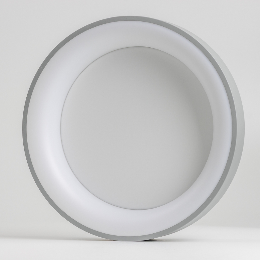 Brilagi - Plafón LED regulable FALCON LED/80W/230V 3000-6500K gris + mando a distancia