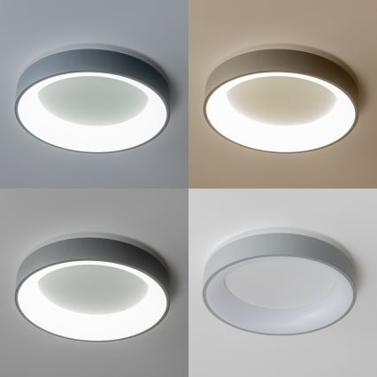 Brilagi - Plafón LED regulable FALCON LED/80W/230V 3000-6500K gris + mando a distancia