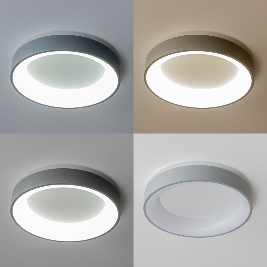 Brilagi - Plafón LED regulable FALCON LED/80W/230V 3000-6500K gris + mando a distancia