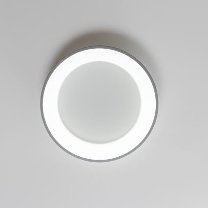 Brilagi - Plafón LED regulable FALCON LED/80W/230V 3000-6500K gris + mando a distancia