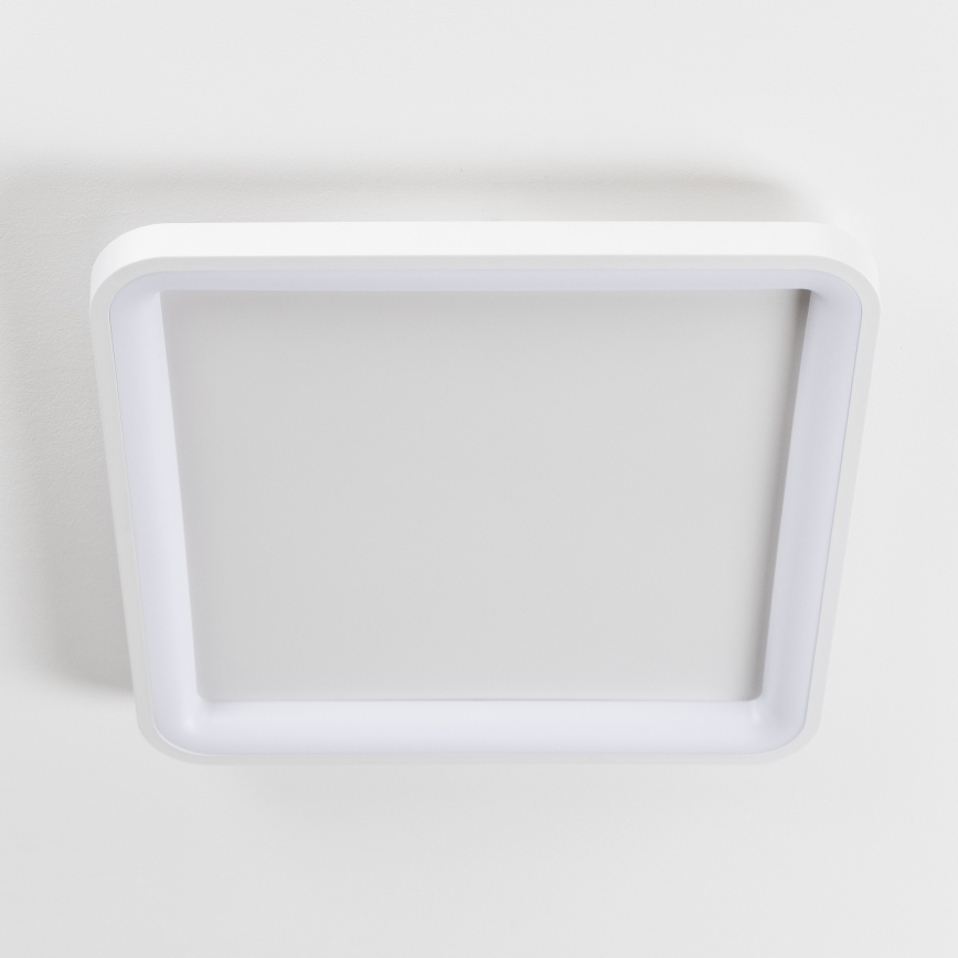 Brilagi - Luminaria de techo LED regulable FALCON SLIM LED/50W/230V 3000-6500K 50x50 cm blanca + mando a distancia