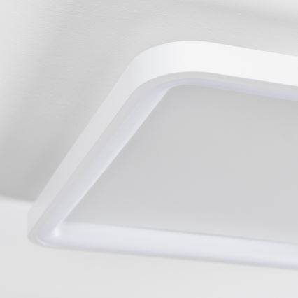 Brilagi - Luminaria de techo LED regulable FALCON SLIM LED/50W/230V 3000-6500K 50x50 cm blanca + mando a distancia