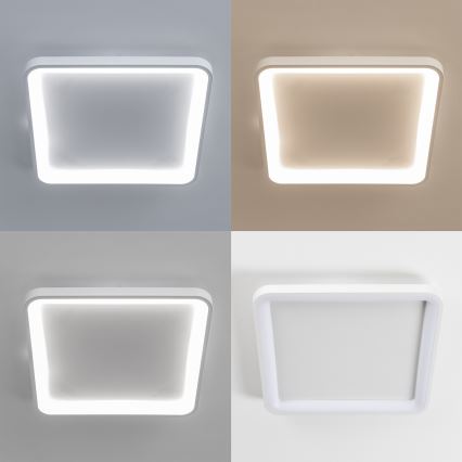 Brilagi - Luminaria de techo LED regulable FALCON SLIM LED/50W/230V 3000-6500K 50x50 cm blanca + mando a distancia