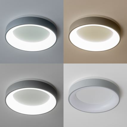 Brilagi - Plafón LED regulable FALCON LED/40W/230V 3000-6500K gris + mando a distancia