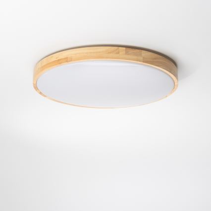 Brilagi - Plafón LED regulable PINE LED/24W/230V 3000-6500K + mando a distancia