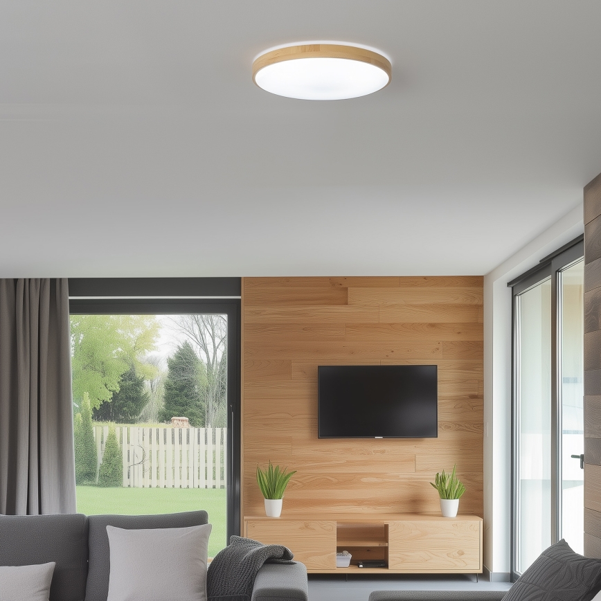 Brilagi - Plafón LED regulable PINE LED/24W/230V 3000-6500K + mando a distancia