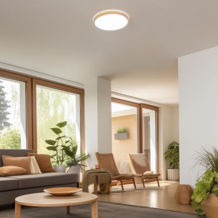 Brilagi - Plafón LED regulable PINE LED/24W/230V 3000-6500K + mando a distancia