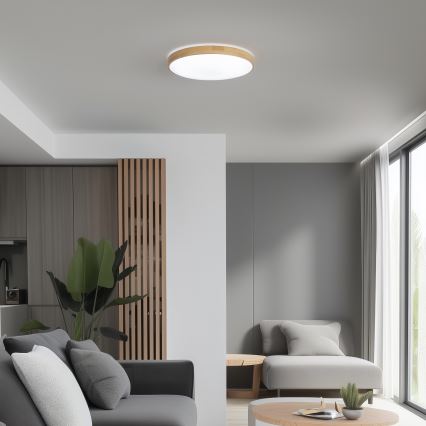 Brilagi - Plafón LED regulable PINE LED/24W/230V 3000-6500K + mando a distancia