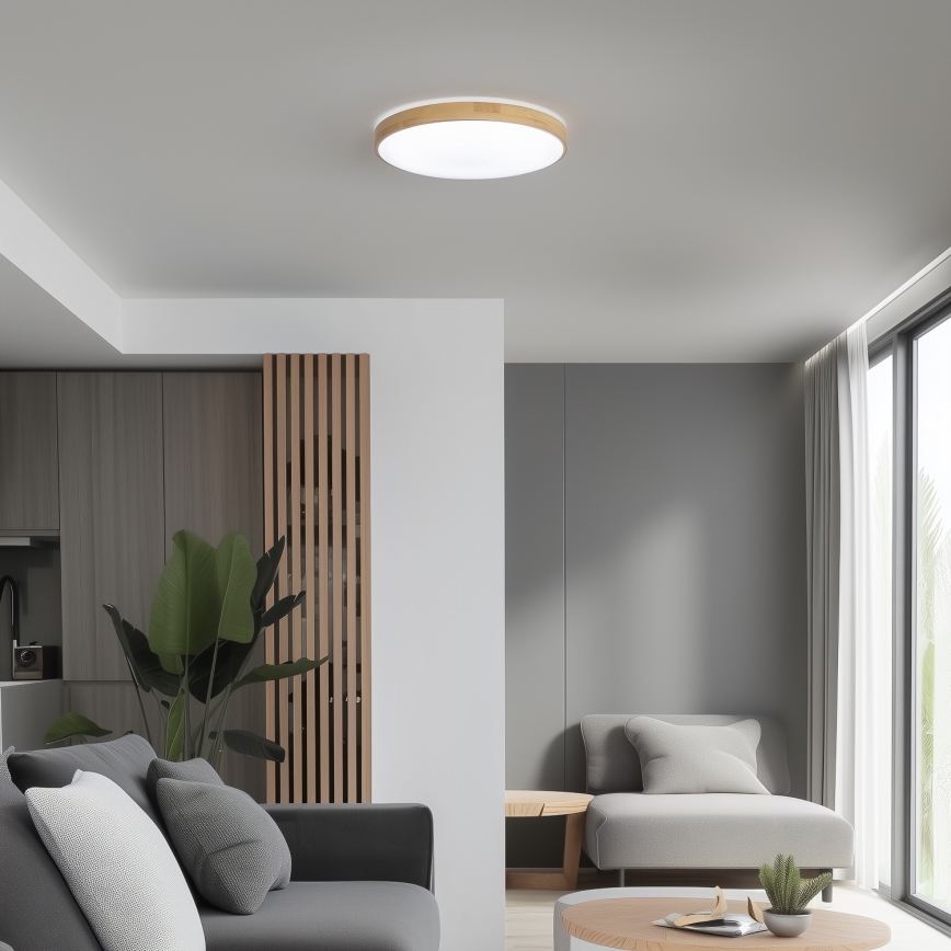 Brilagi - Plafón LED regulable PINE LED/24W/230V 3000-6500K + mando a distancia