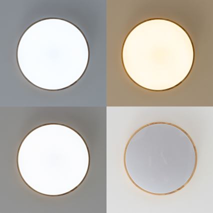 Brilagi - Plafón LED regulable PINE LED/24W/230V 3000-6500K + mando a distancia