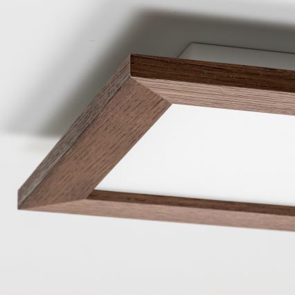Brilagi - Plafón LED SLIMFRAME WOOD LED/25W/230V 34x34 cm marón oscuro