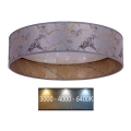 Brilagi - Plafón LED VELVET STAR LED/24W/230V Ø 40 cm 3000K/4000K/6400K gris/dorado