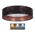 Brilagi - Plafón LED VELVET STAR LED/24W/230V Ø 40 cm 3000K/4000K/6400K negro/cobre