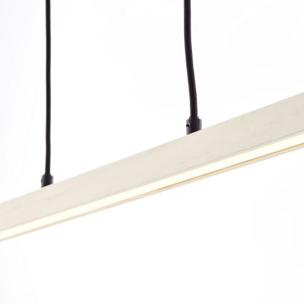 Brilliant - Lámpara colgante LED con cable ARION LED/22W/230V pino