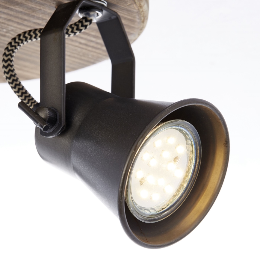 Brilliant - Lámpara de focos SEED 3xGU10/5W/230V negro/marrón