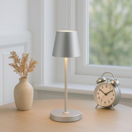 Brilliant - Lámpara de mesa exterior táctil recargable regulable ELORA LED/2,5W/5V 2700K 2600 mAh IP44 plateada