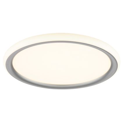 Brilliant - Lámpara de techo regulable CARLOZ LED/16W/230V Ø 30 cm blanco/gris