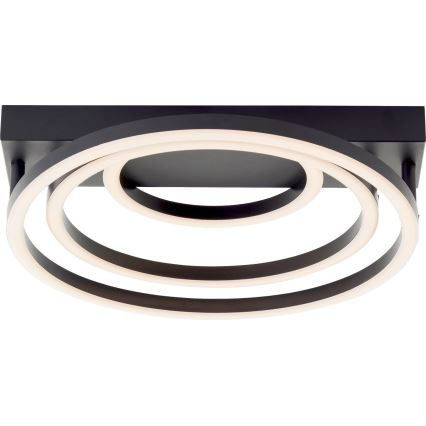 Brilliant - Lámpara de techo LED regulable PEDLEY LED/36W/230V negra