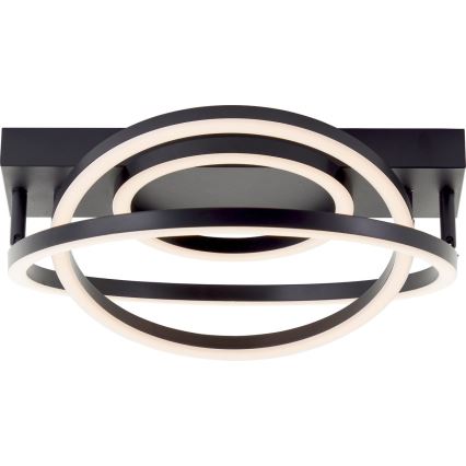 Brilliant - Lámpara de techo LED regulable PEDLEY LED/36W/230V negra