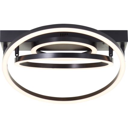 Brilliant - Lámpara de techo LED regulable PEDLEY LED/36W/230V negra