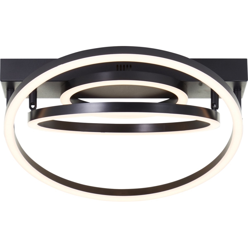 Brilliant - Lámpara de techo LED regulable PEDLEY LED/36W/230V negra