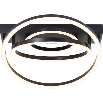Brilliant - Lámpara de techo LED regulable PEDLEY LED/36W/230V negra