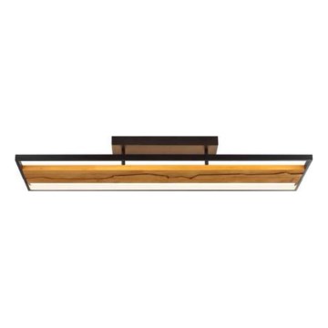 Brilliant - Lámpara de techo LED regulable THUNDER LED/42W/230V, acabado pino