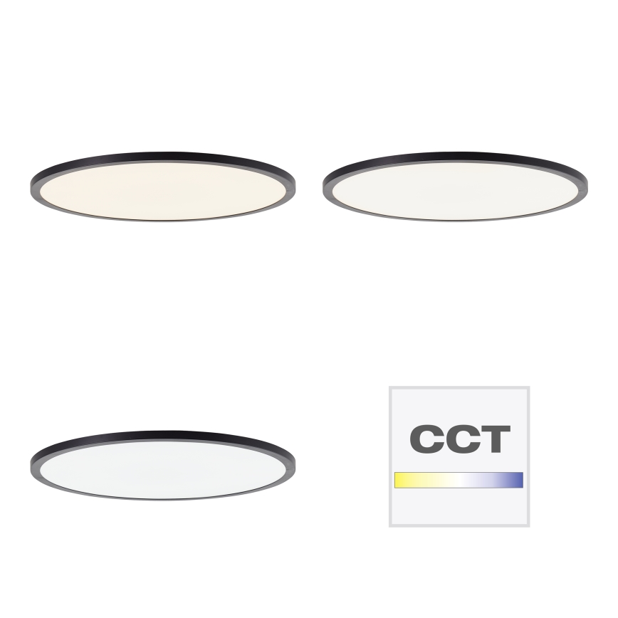 Brilliant - Luminaria de techo LED regulable TUCO LED/33W/230V 3000-6500K Ø 50 cm negra + mando a distancia