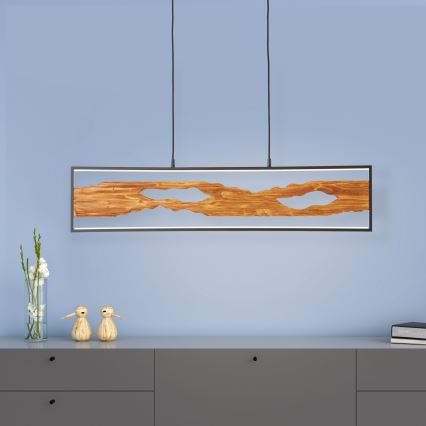 Brilliant - Lámpara LED colgante CHAUMONT LED/20W/230V pino