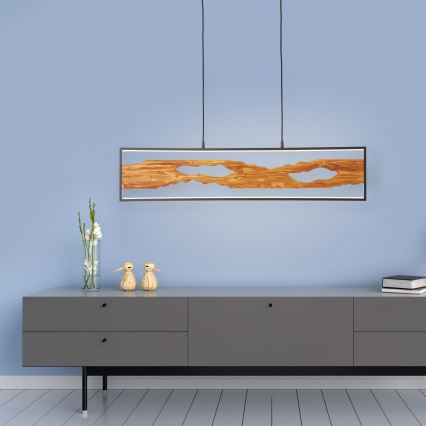 Brilliant - Lámpara LED colgante CHAUMONT LED/20W/230V pino