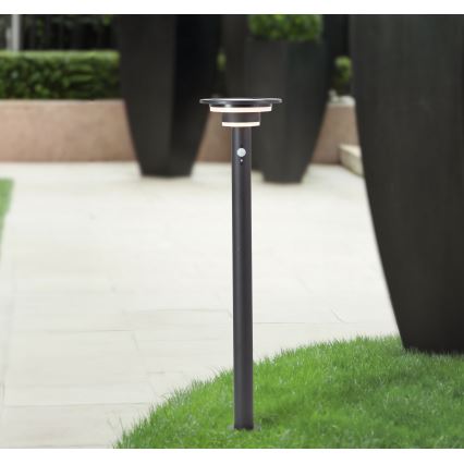 Brilliant - Lámpara solar LED con sensor GARVINA LED/3W/3,7V 2000 mAh 85 cm IP44 negro