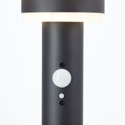 Brilliant - Lámpara solar LED con sensor GARVINA LED/3W/3,7V 2000 mAh 85 cm IP44 negro