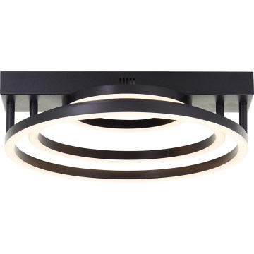 Brilliant - LED Lámpara de techo regulable PEDLEY LED/36W/230V negra
