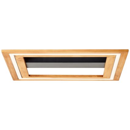 Brilliant - Plafón LED regulable RHEA LED/24W/230V 3000K 45x45 cm