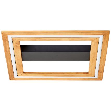 Brilliant - Plafón LED regulable RHEA LED/24W/230V 3000K 45x45 cm