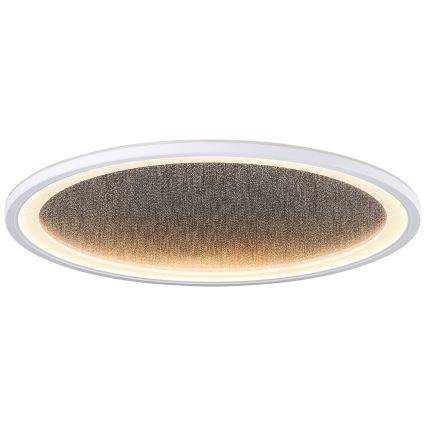Brilliant - Plafón LED regulable TANIDA LED/31W/230V 3000-6500K + control remoto