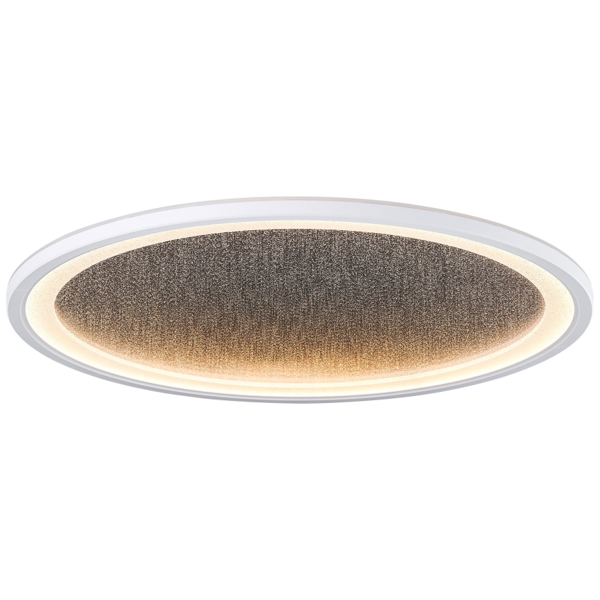 Brilliant - Plafón LED regulable TANIDA LED/31W/230V 3000-6500K + control remoto