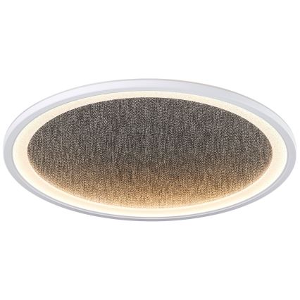 Brilliant - Plafón LED regulable TANIDA LED/31W/230V 3000-6500K + control remoto