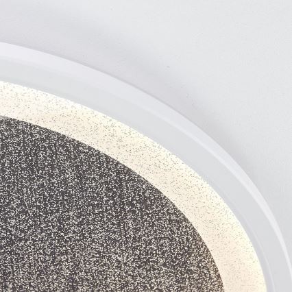 Brilliant - Plafón LED regulable TANIDA LED/31W/230V 3000-6500K + control remoto