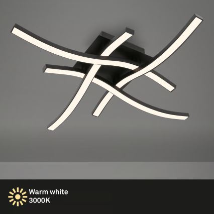 Brilo 3677-045 - Plafón LED/14,4W/230V negro