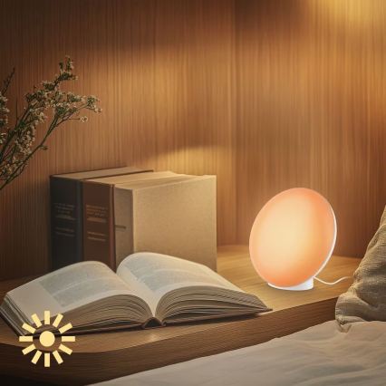 Brilo - Lámpara de mesa recargable LED RGBIC regulable TARA LED/6W/5V 3000-6500K Wi-Fi Tuya + control remoto