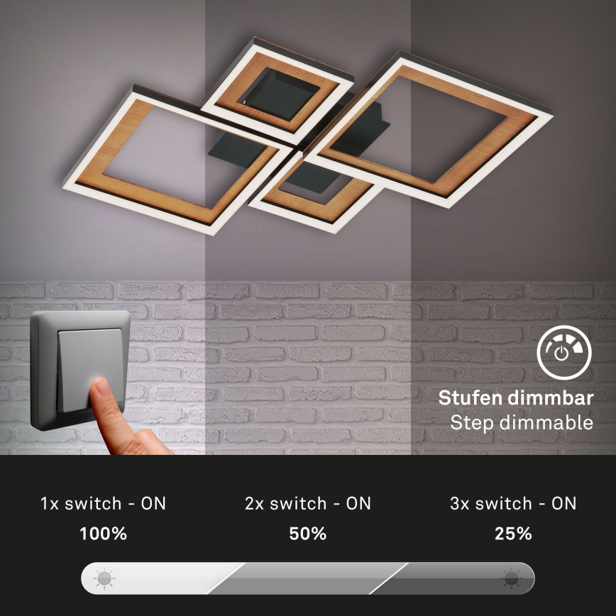 Brilo - Lámpara de techo LED regulable FRAME LED/38W/230V