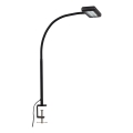 Brilo - LED Lámpara de mesa flexible con clip TRASNA LED/7,5W/230V negro