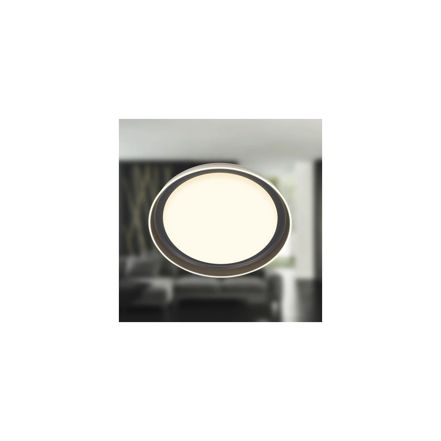 Brilo - Plafón LED IJUS LED/24W/230V 3000K diámetro 43 cm