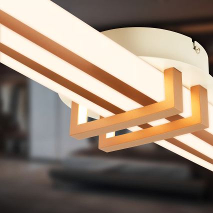 Brilo - Plafón TINKA LED/30W/230V 3000K color cobre