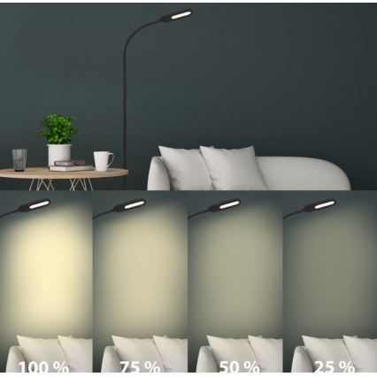 Briloner 1297-015 - Lámpara de pie flexible LED regulable LED/6,6W/230V 3000K/4000K/6000K