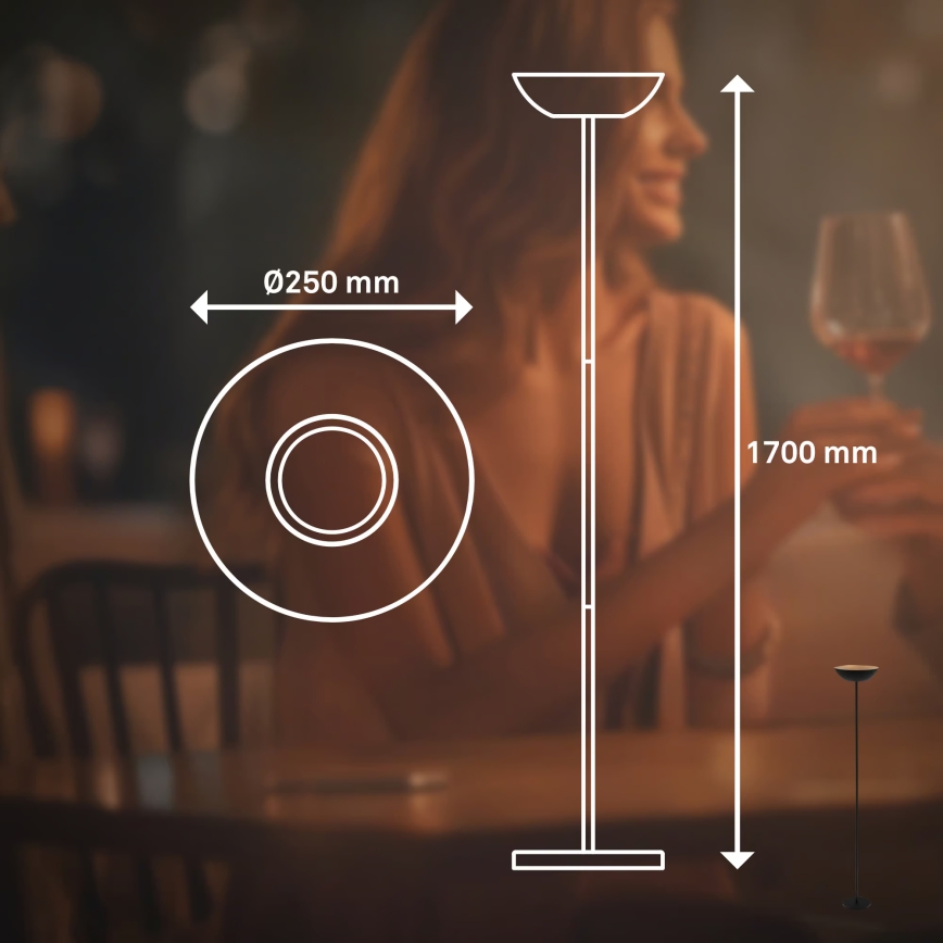 Briloner 1500015 - Lámpara de pie regulable ESTATE LED/8W/5V 4000 mAh negra